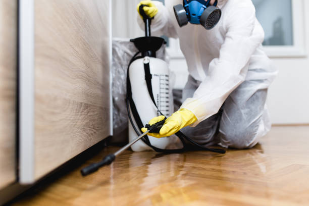 Pest Prevention Services in Three Lakes, FL