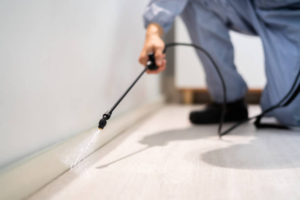 Professional Pest Control in Three Lakes, FL