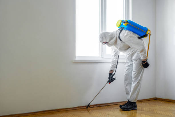 Best Pest Control Treatment  in Three Lakes, FL
