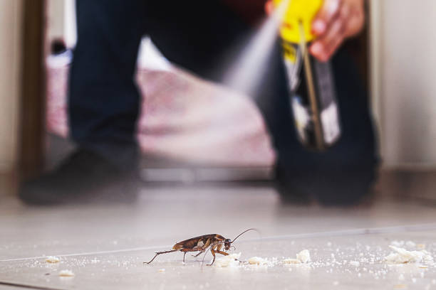 Best Commercial Pest Control Services  in Three Lakes, FL