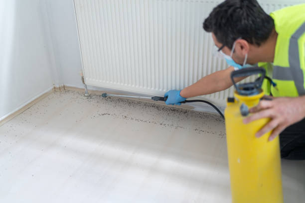 Best Local Pest Control Services  in Three Lakes, FL